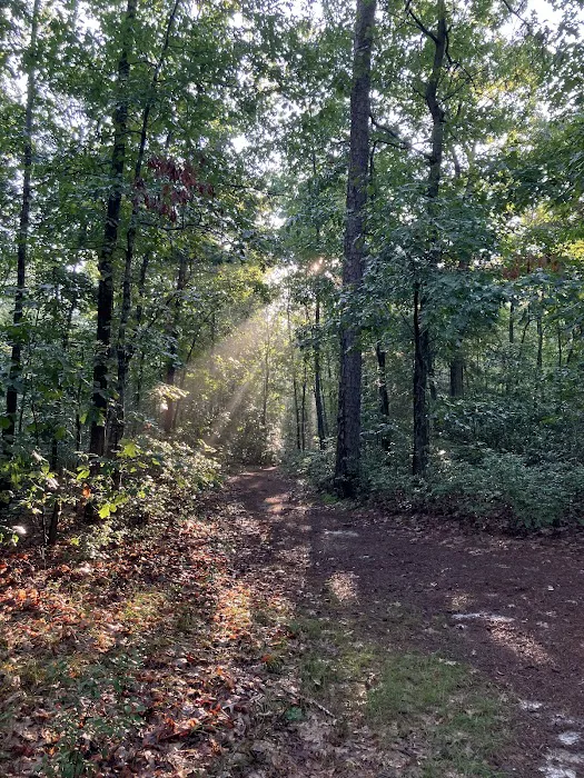 Atsion Family Campground 0