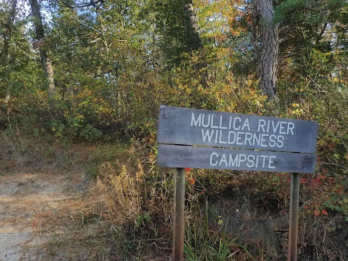 Mullica River Campground 9