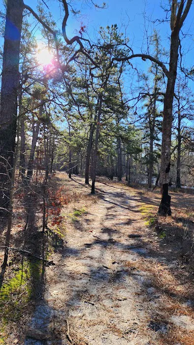 Mullica River Campground 2