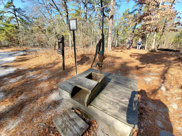 Mullica River Campground 7