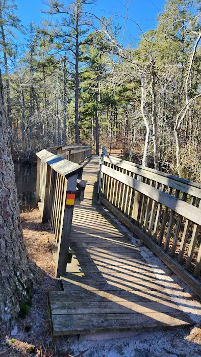 Mullica River Campground 4