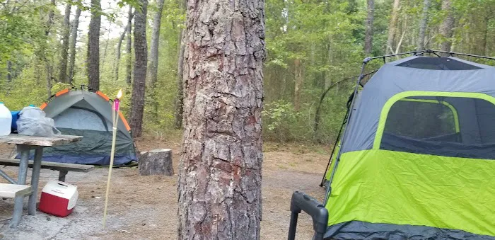 Buttonwood Hill Campsite 2