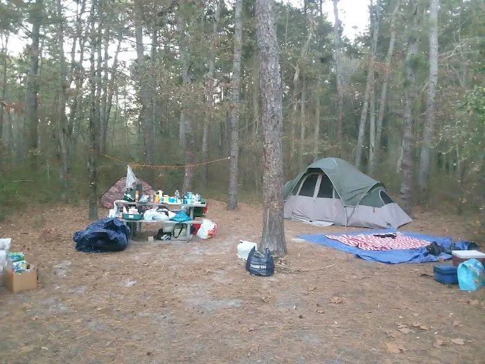 Buttonwood Hill Campsite 7