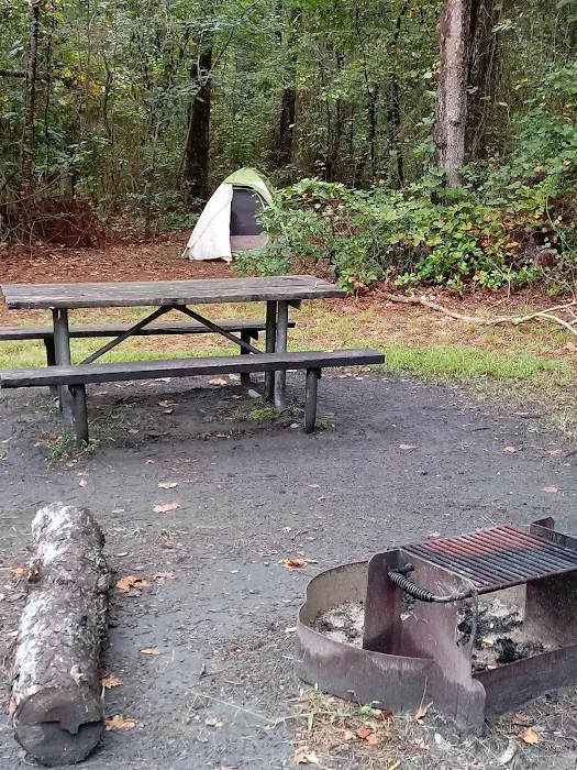 Buttonwood Hill Campsite 0