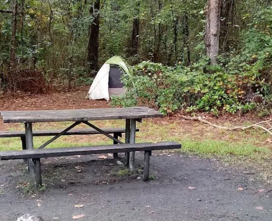 Buttonwood Hill Campsite