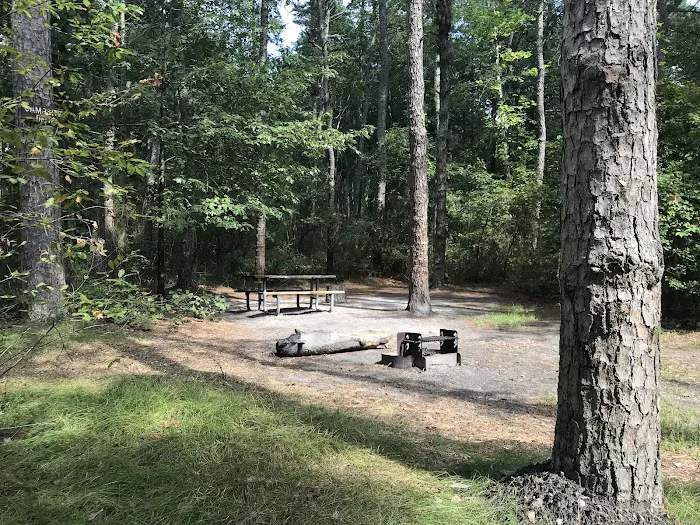 Buttonwood Hill Campsite 3