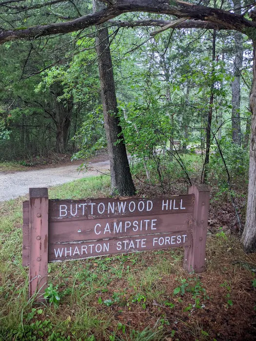Buttonwood Hill Campsite 6