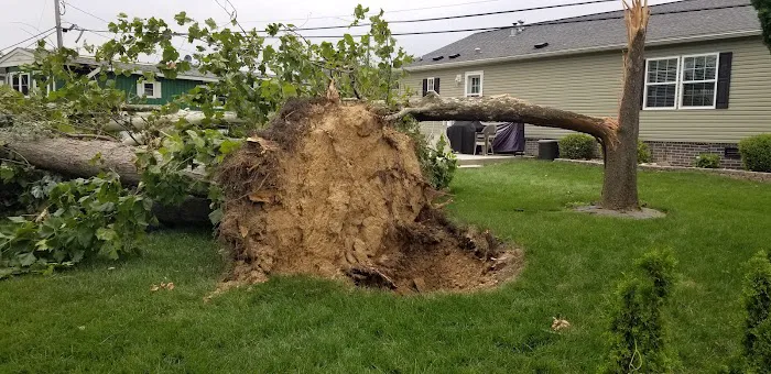 Penn Valley Terrace 2