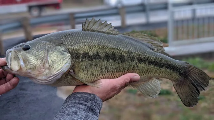 Newton Creek Mobile Home Park 0