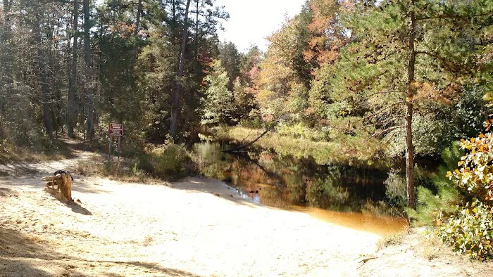 Bodine Field Campground 2