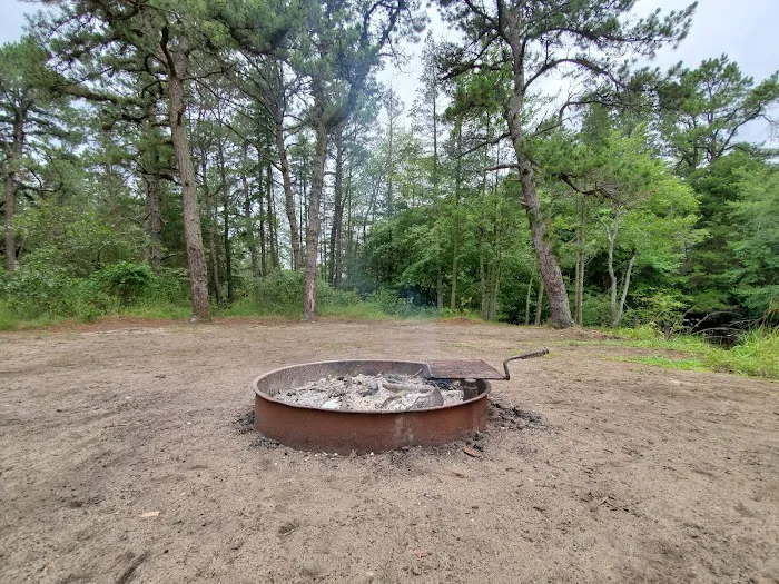 Bodine Field Campground 1