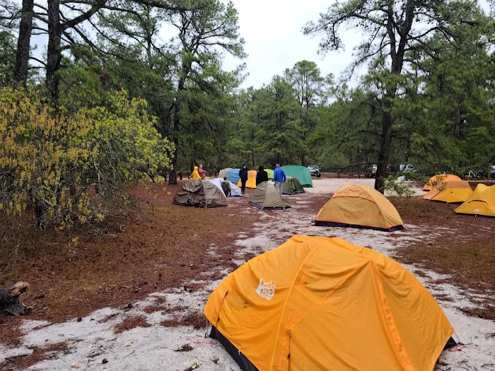Bodine Field Campground 4