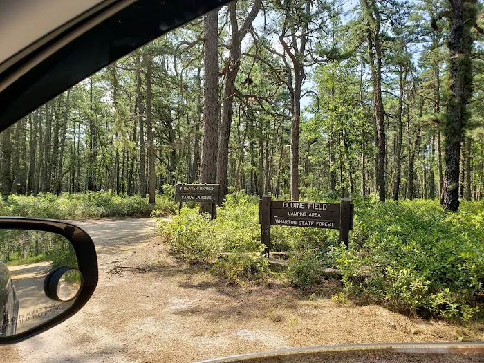 Bodine Field Campground 3