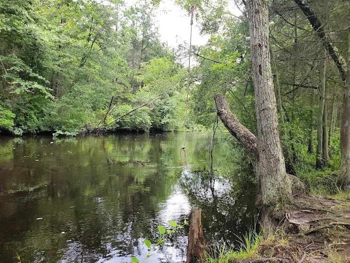 Bodine Field Campground 5