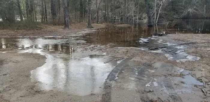 Bodine Field Campground 7