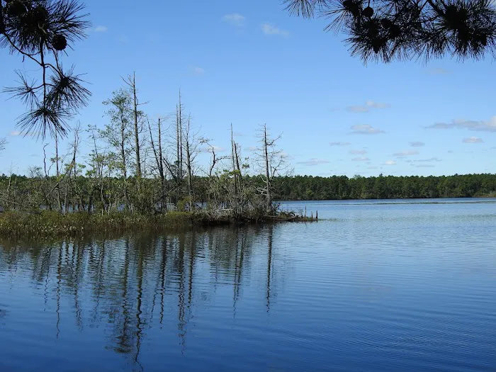Chips Folly Family Campground 8