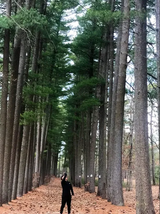 Egg Harbor Lake Campground 5