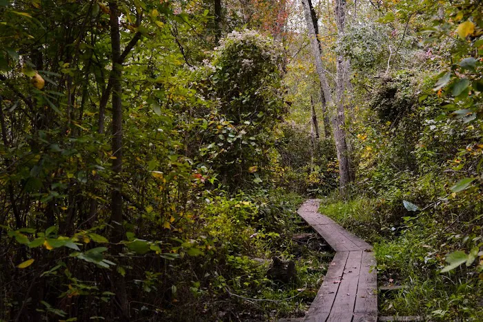 Hospitality Creek Campground 7