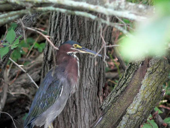 Willow Woods Mobile Home Park Office 5