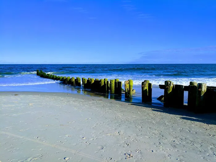 Lindy's Trailer Park 8