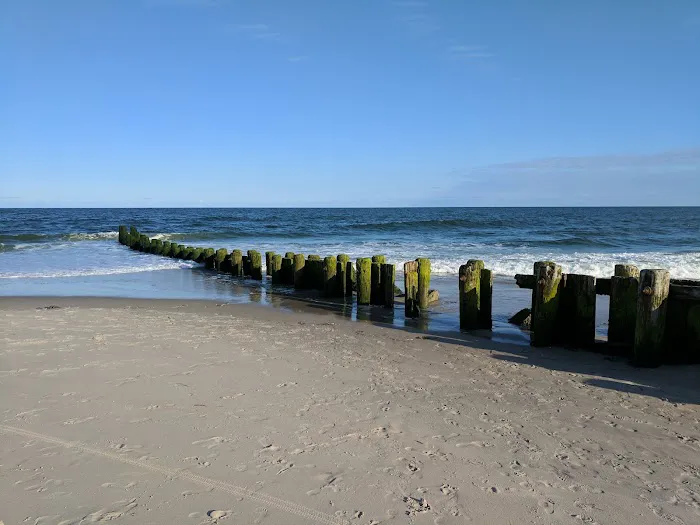 Lindy's Trailer Park 2