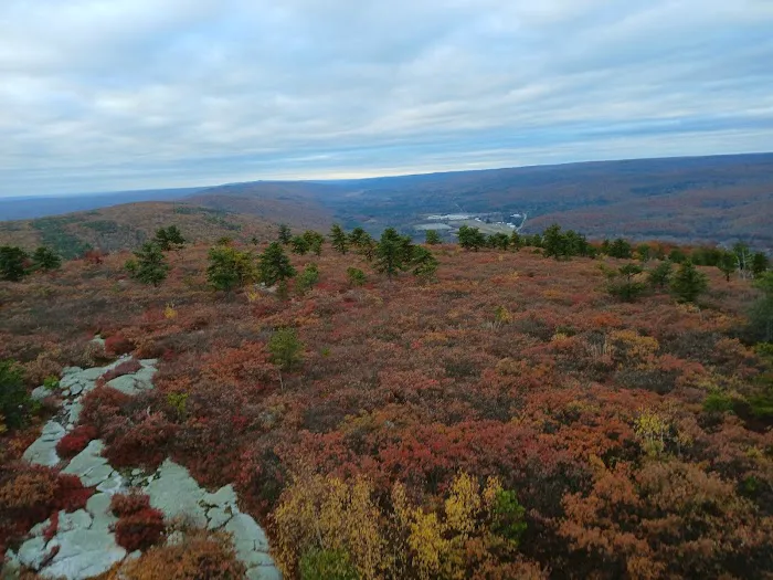 Whispering Pines Community 5