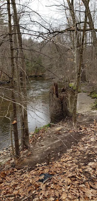 Whispering Pines Community 4