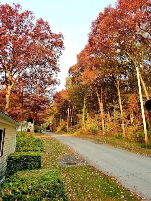 Blue Sky Homes LLC 0