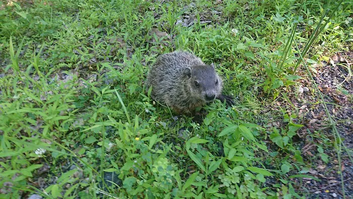 Blue Sky Homes LLC 2