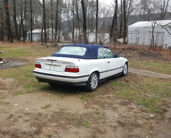 Land & Forest Department