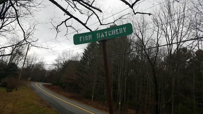 Land & Forest Department 3