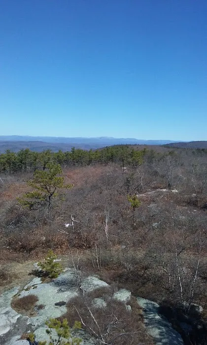 Land & Forest Department 2