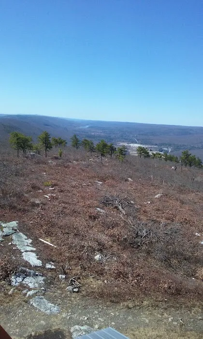 Land & Forest Department 4