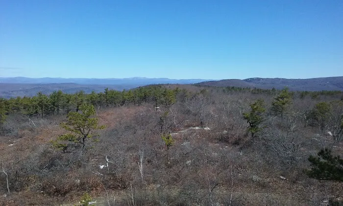 Land & Forest Department 5