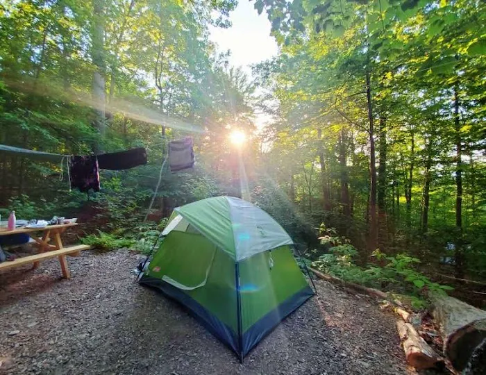 Malouf's Mountain Campground 6