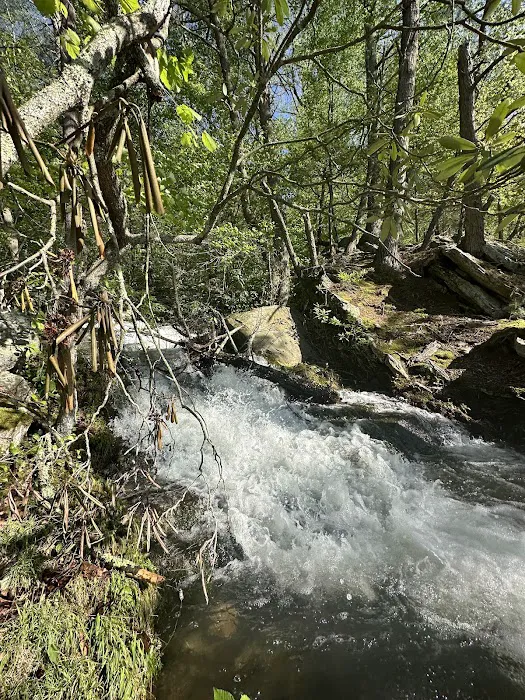 Spring Glen Campgrounds Inc 2