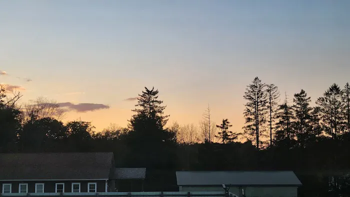 Sunflower Cottages 0