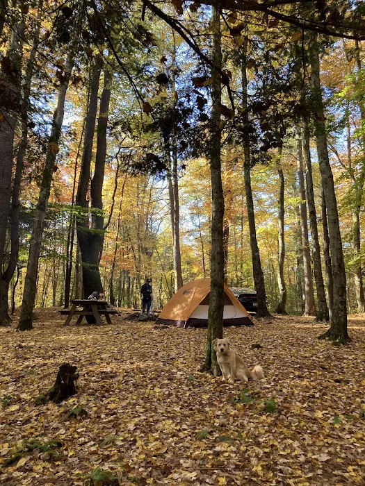 Happy Days Campground 6