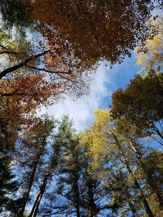 Happy Days Campground 5