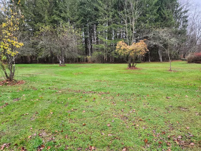 Empire Campgrounds - A Pictures is Worth a Thousand Words 8