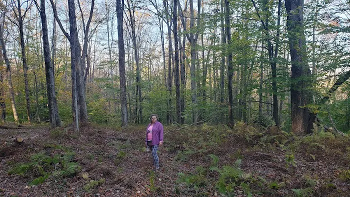 Empire Campgrounds - A Pictures is Worth a Thousand Words 6