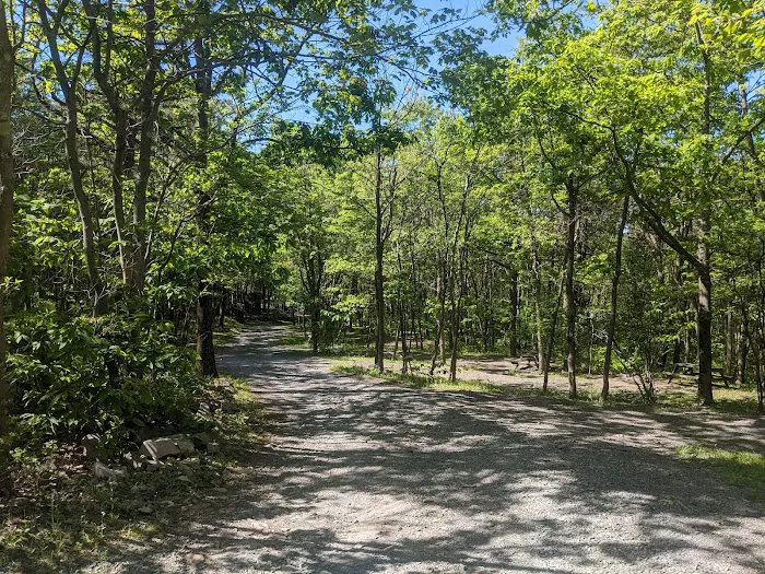 Peaceful Woodlands Family Campground 3