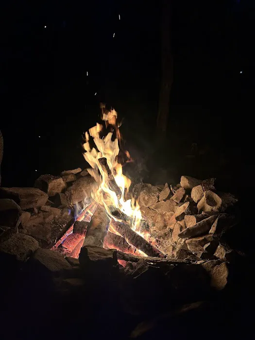 Peaceful Woodlands Family Campground 2