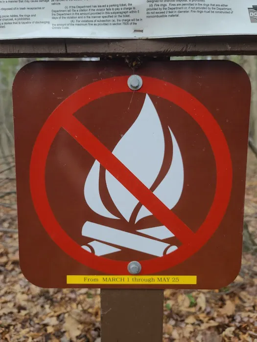 White Deer Campsite 1