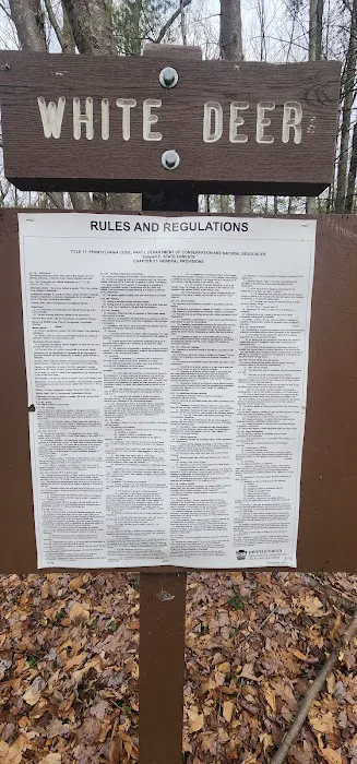 White Deer Campsite 4