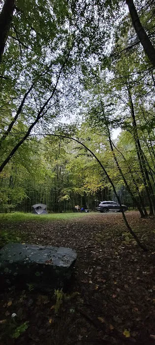 White Deer Campsite 8