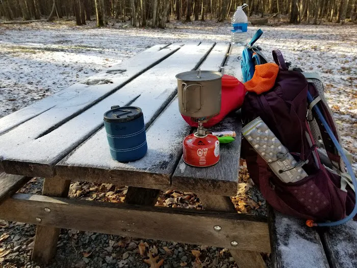White Deer Campsite 2