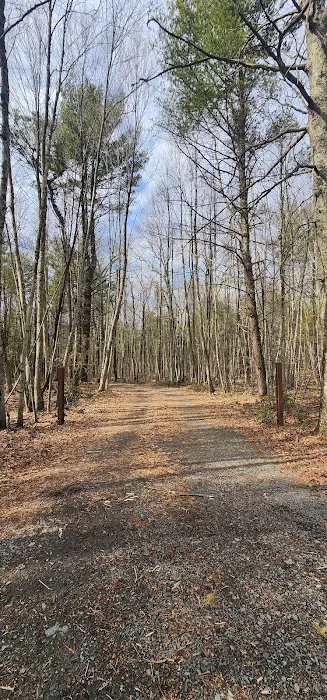 White Deer Campsite 3