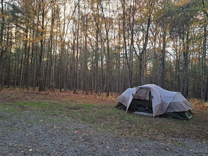 White Deer Campsite 6