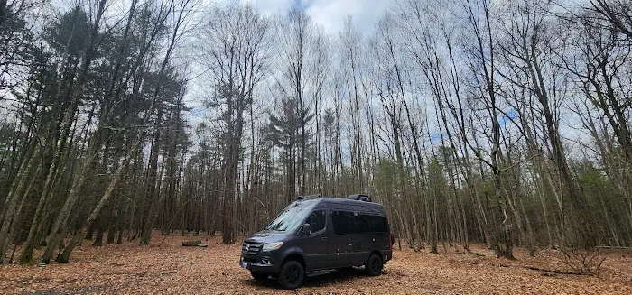 White Deer Campsite 9